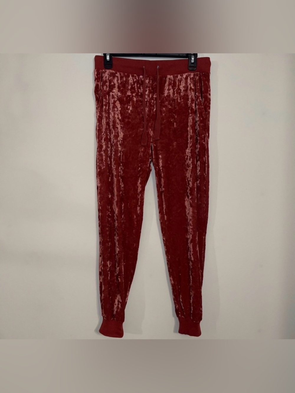 Aerie Velvet Joggers